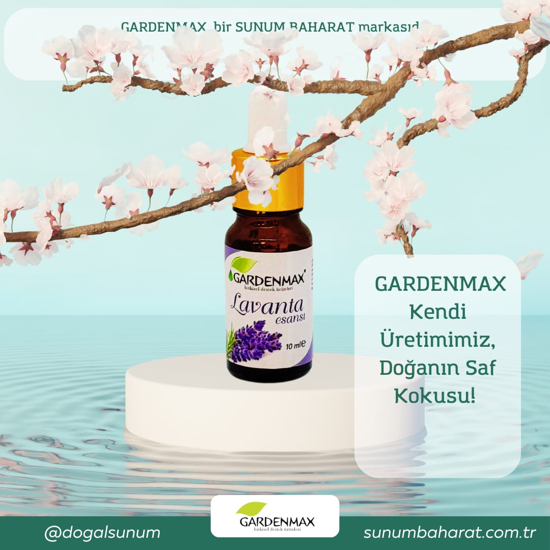 Gardenmax Buhurdanlık Esansları (Lavanta)  3