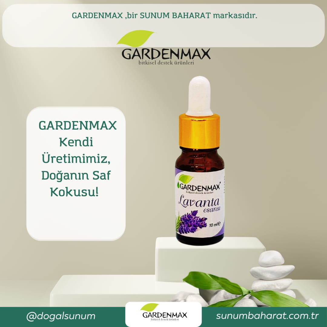Gardenmax Buhurdanlık Esansları (Lavanta)  4