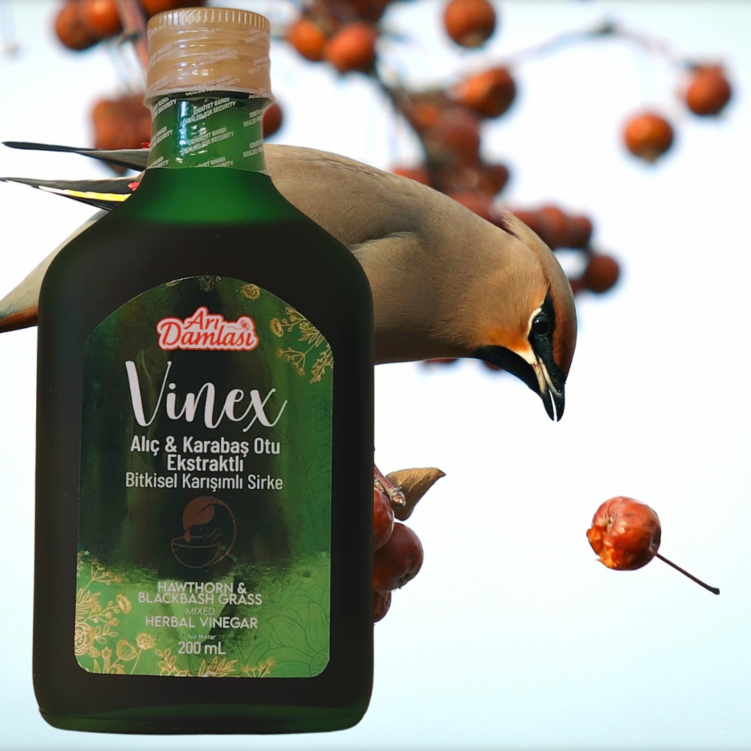 Arı Damlası Vinex 200 ml Alıç & Karabaş Otu Ekstraktlı Bitkisel Karışımlı Sirke  3